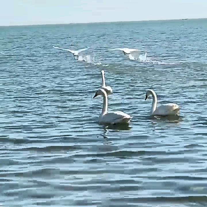 畫个圈