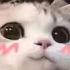 唔昂王