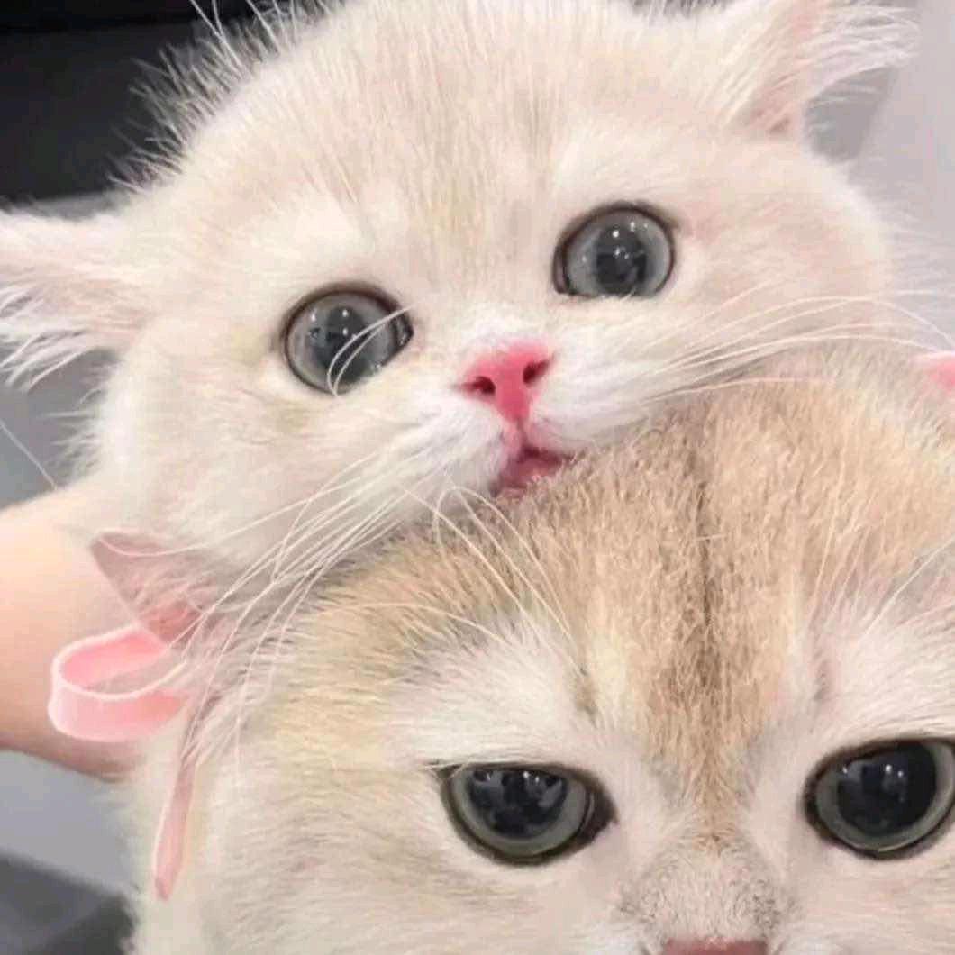 柒❤️玥