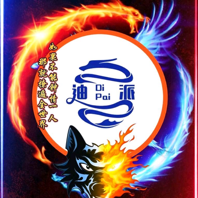 *迪派