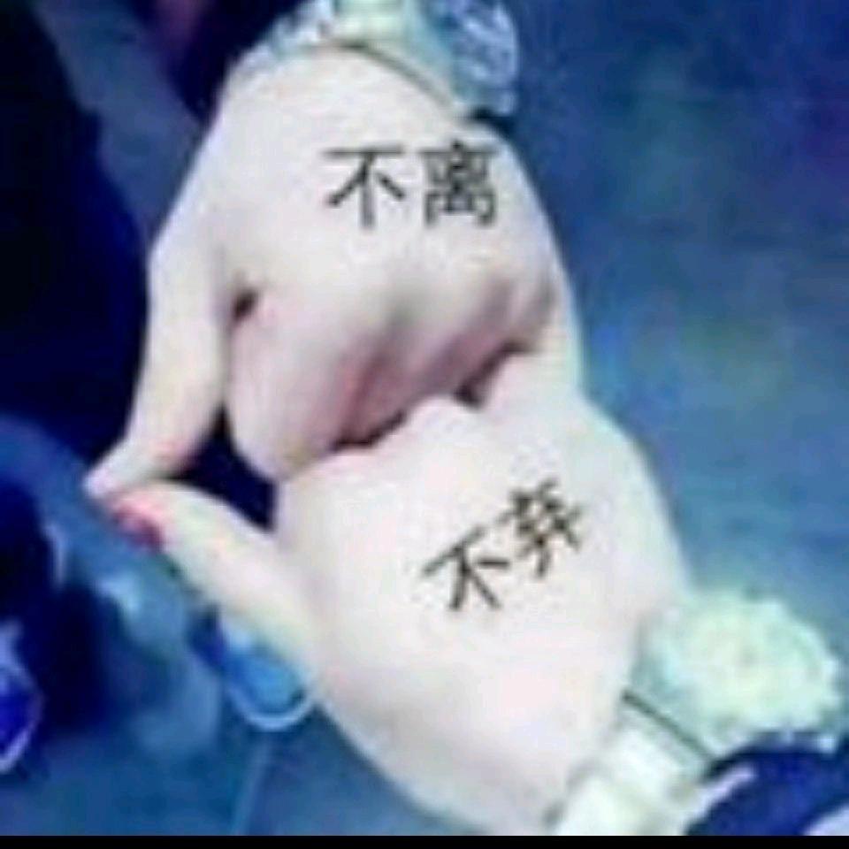 你就是我最爱的人