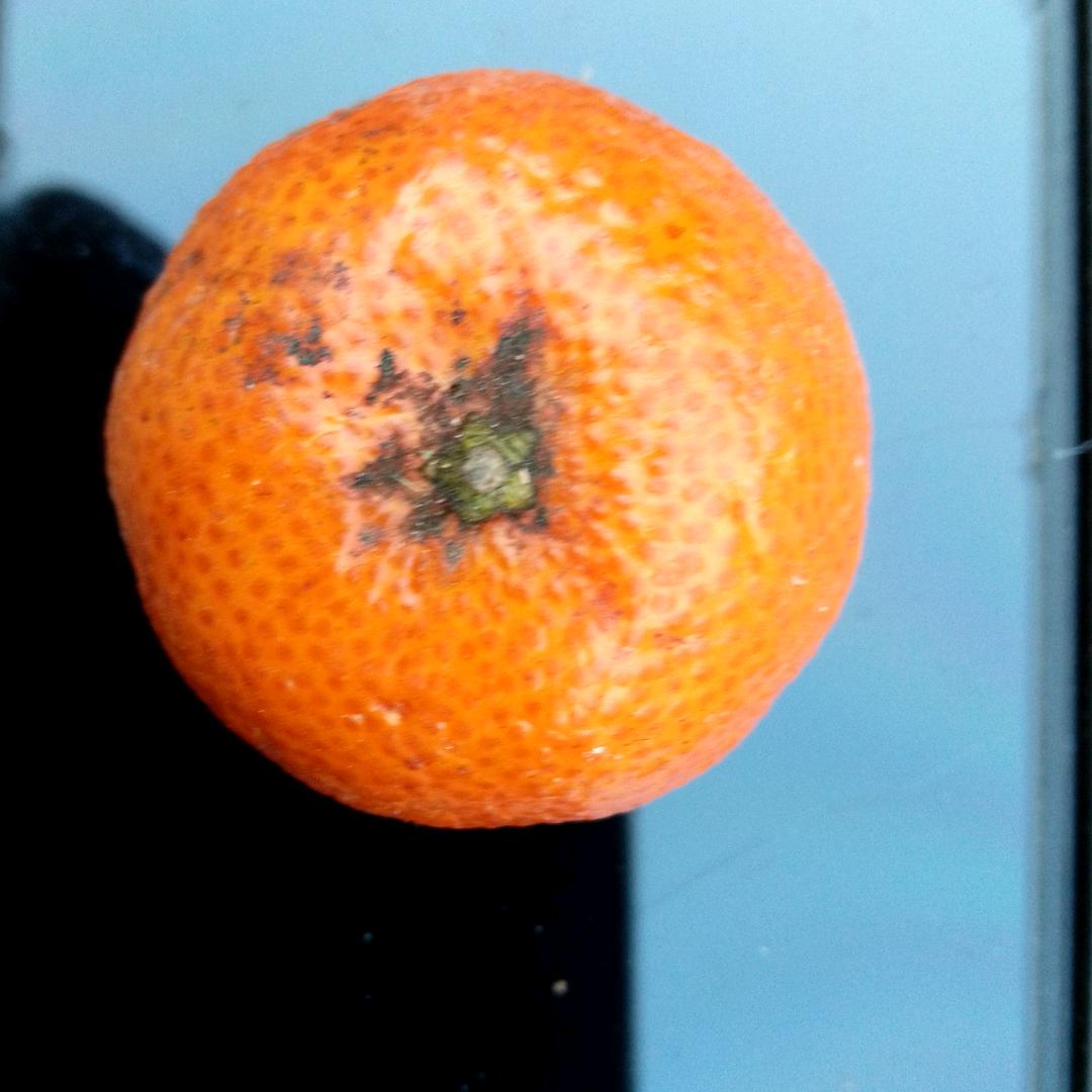 天道90929093432删除聊天记录