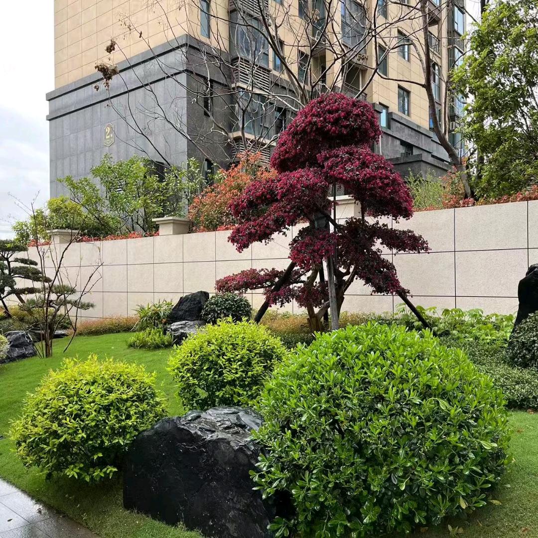 市政采购员