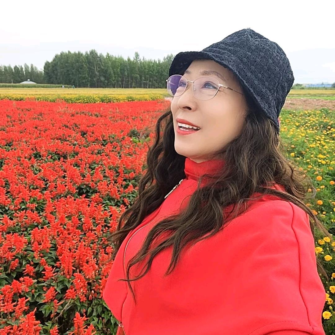 杨杨一帆风顺