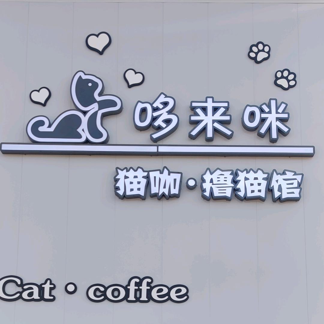 哆来咪猫咖撸猫馆官方号