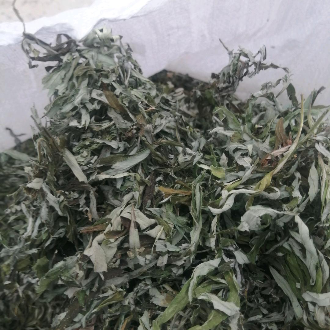 陕西秦岭中草药山野菜