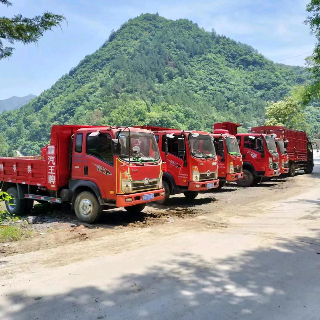 竹山县陈光仓汽贸经营