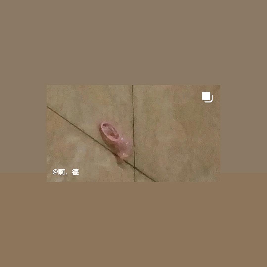 雪花5626853382271
