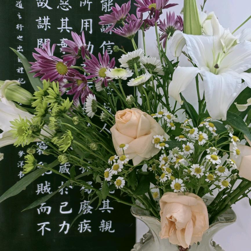 慧芝