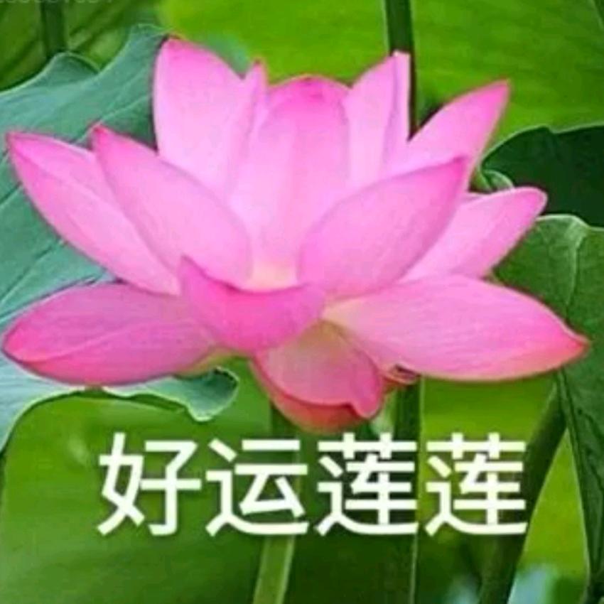 用户8212449398097谢