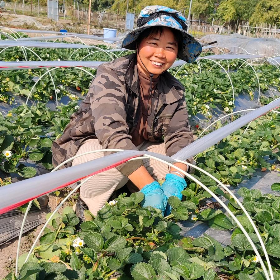 道源家庭农场（桥巩良水村）🍓