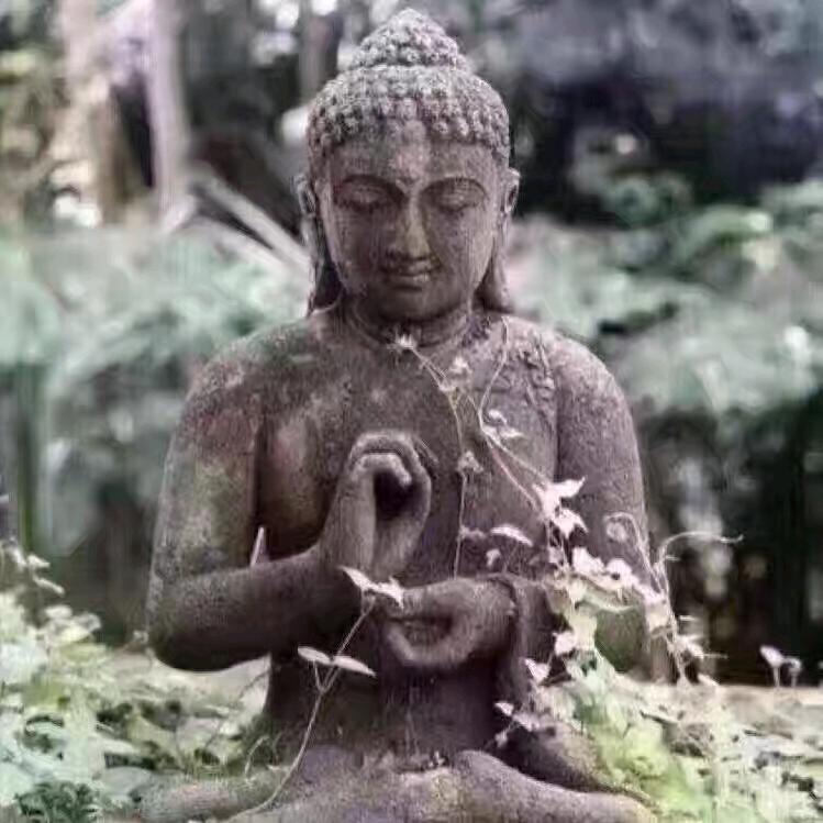 想你的时候，我很孤独！🐶🐶🐶