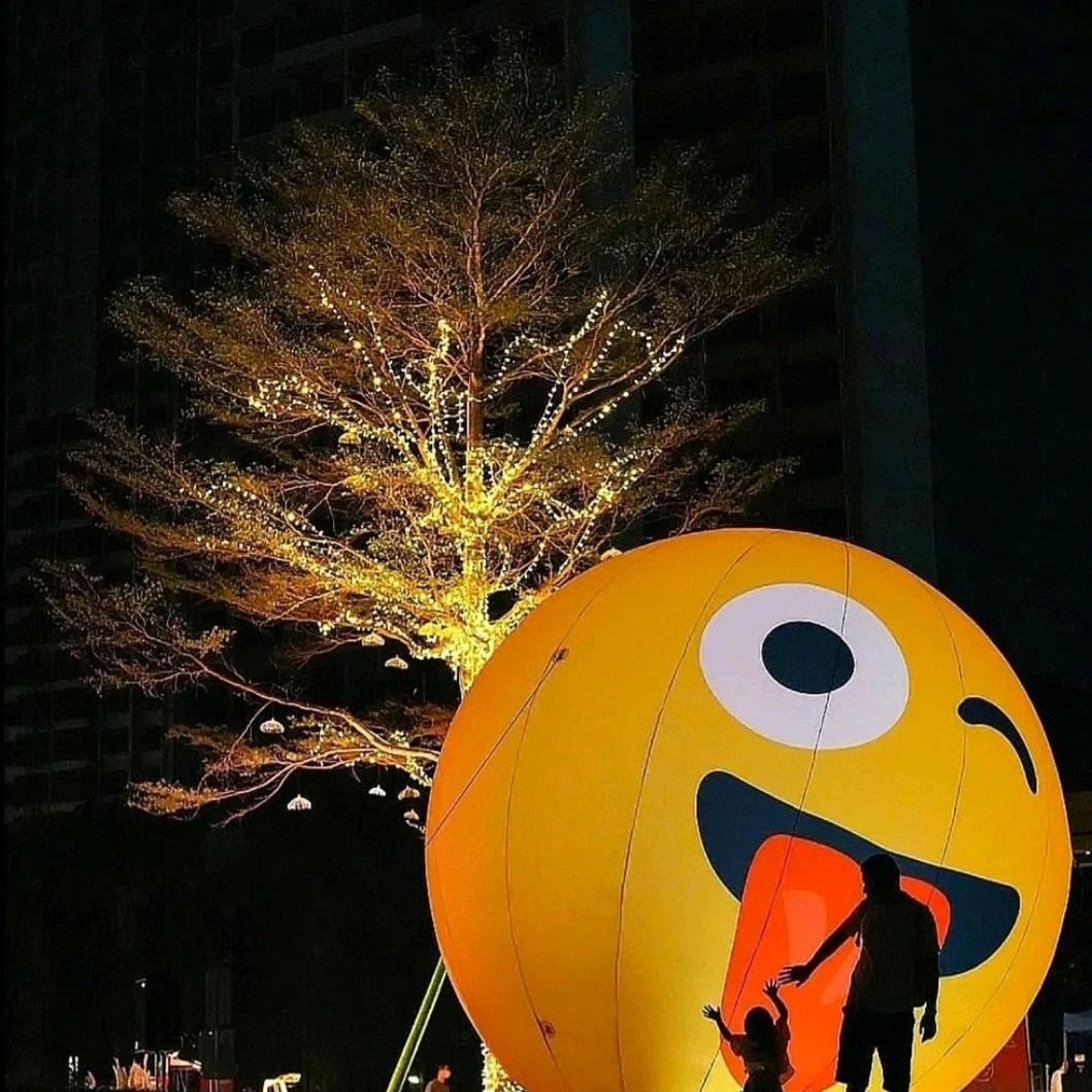 TR。语夏