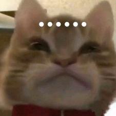 麻卡八嘎