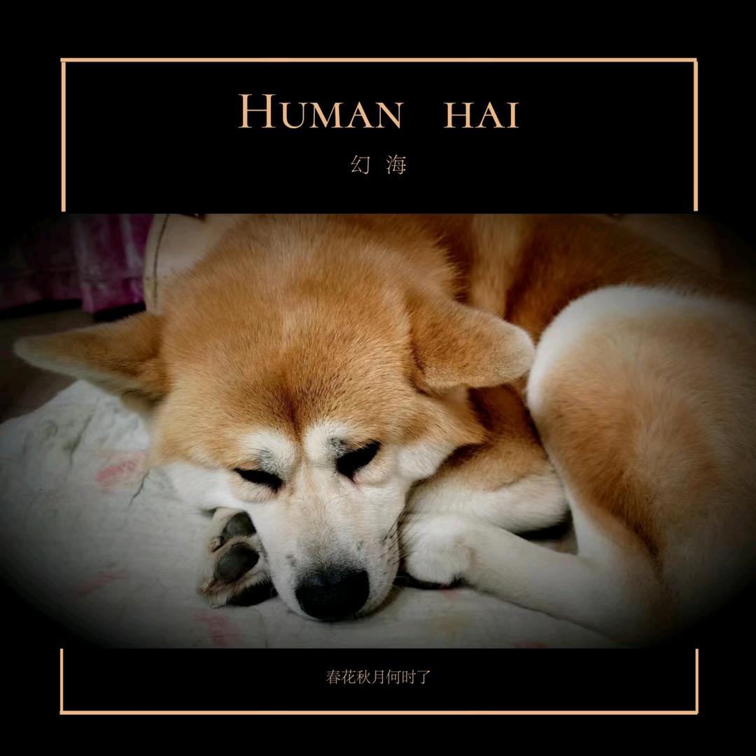 那些年。寻找你