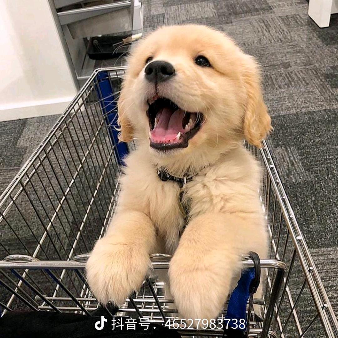 健@