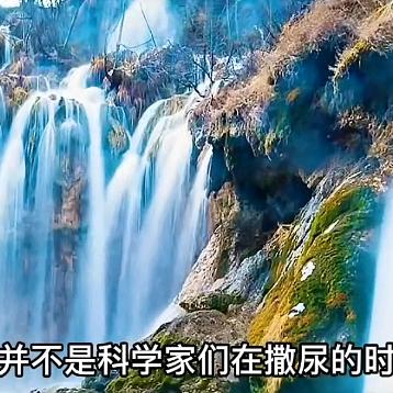 顺风顺水