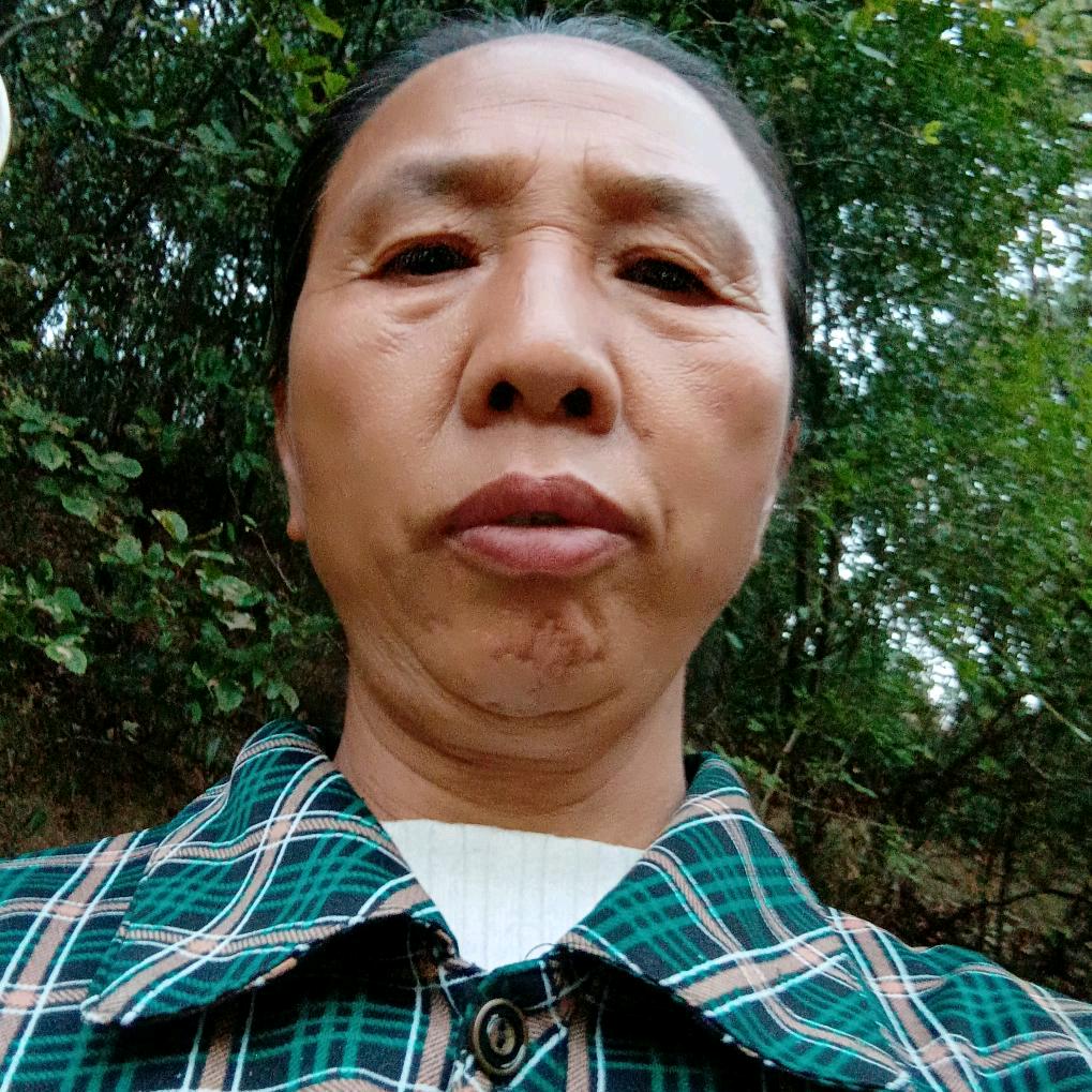 、龙凤林