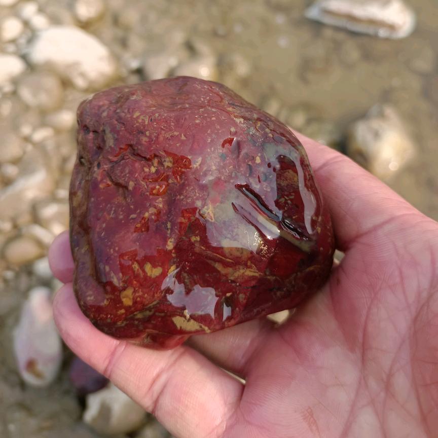 打不死的小王。