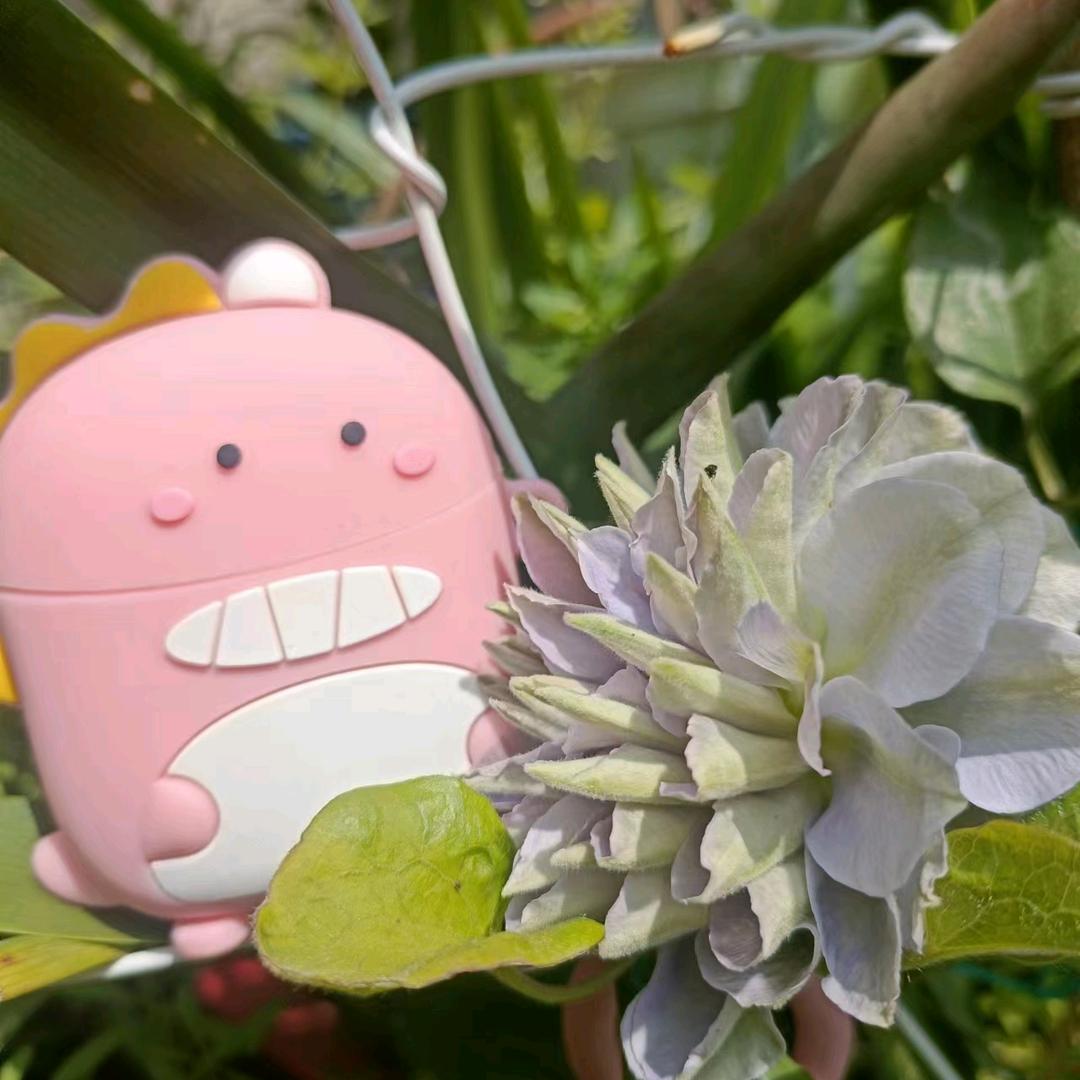 平帆一家人