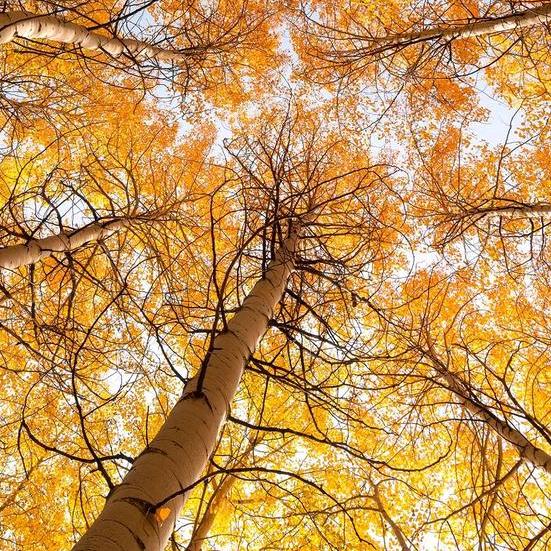 马隆设计师酒店