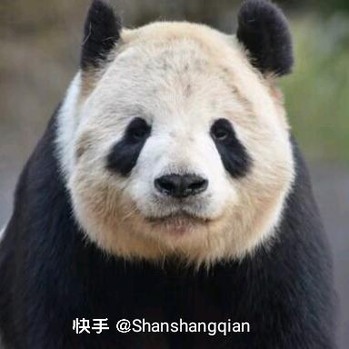添添进钱💰