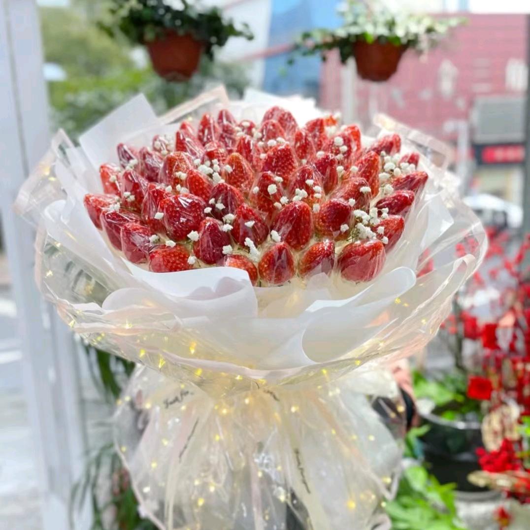 燕子🌸