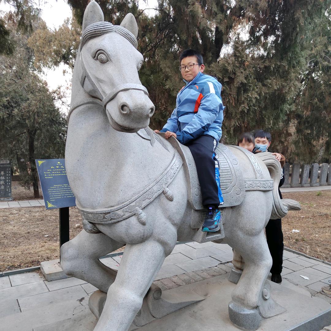 汾台香油，芝麻酱