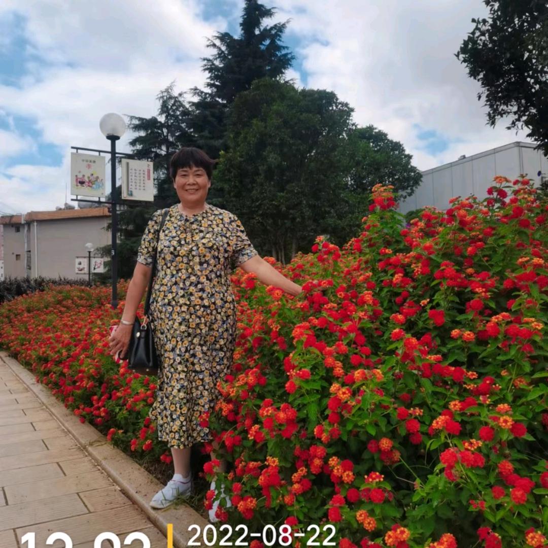 用户39112346368樊大姐