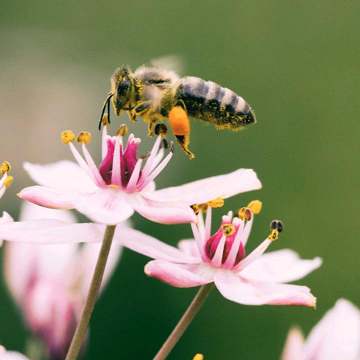 珍惜一生🌹🌹