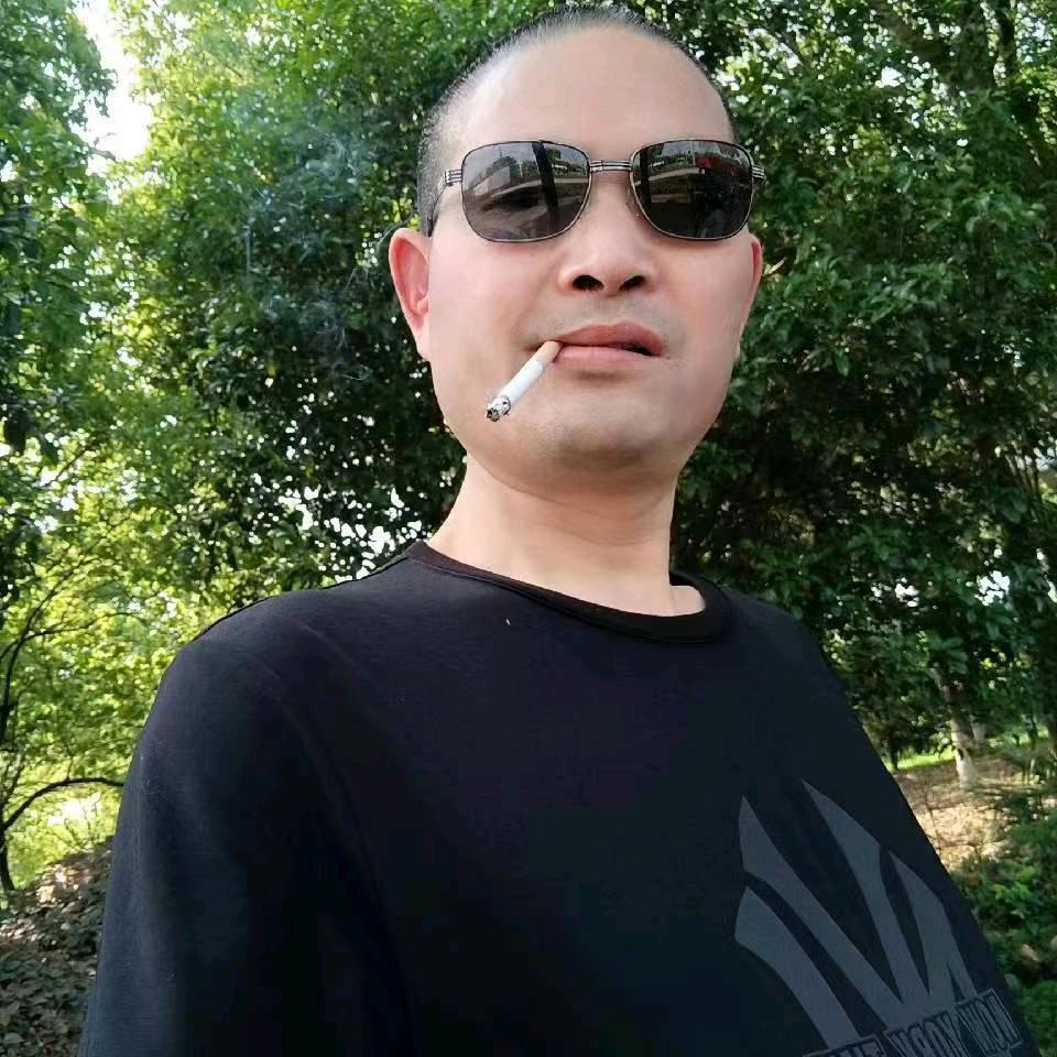 阳光下的向日葵