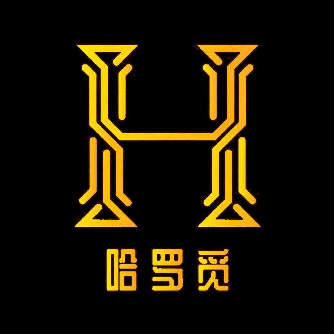 哈罗觅户外露营车工厂直销