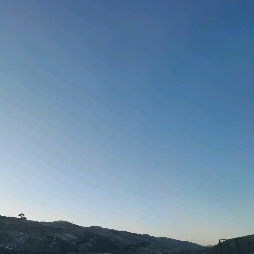 小马哥1号