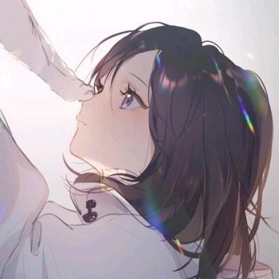 碟碟团购达人