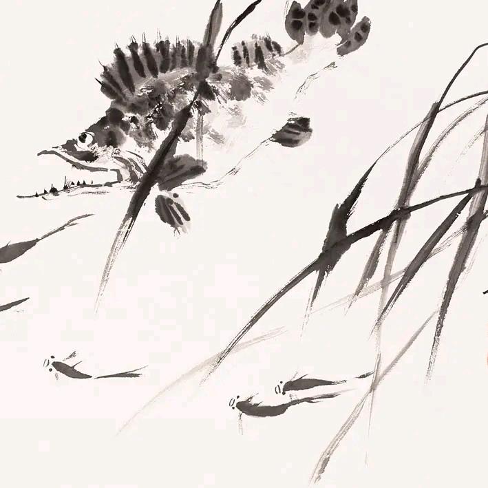 湘北原生鱼