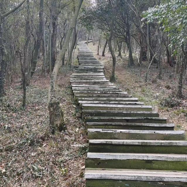 晴天晴天。