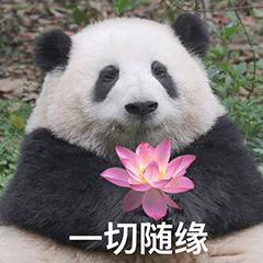开心小土豆头像