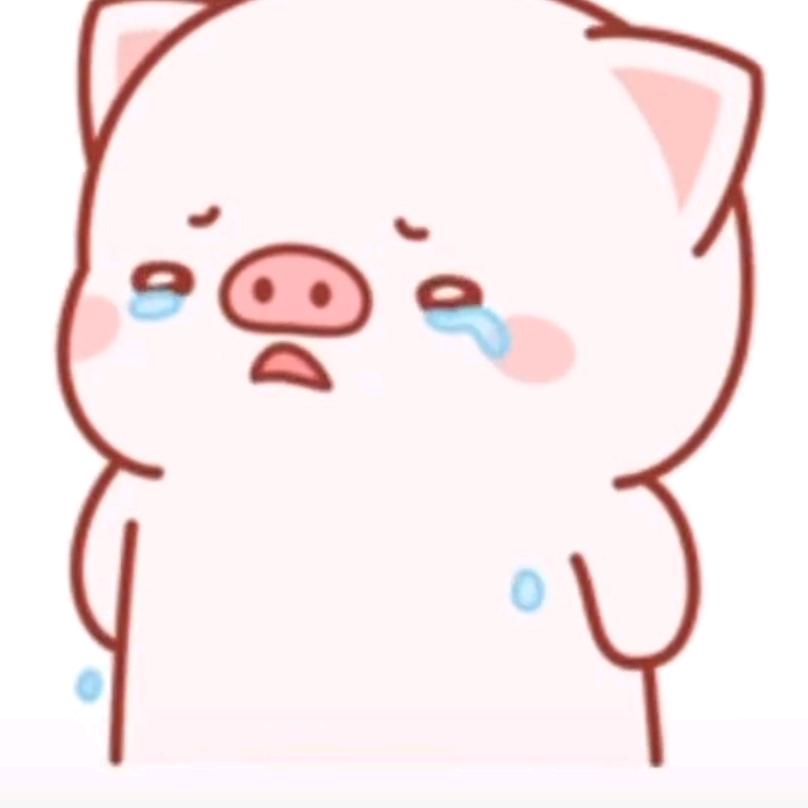 我的未来我做主