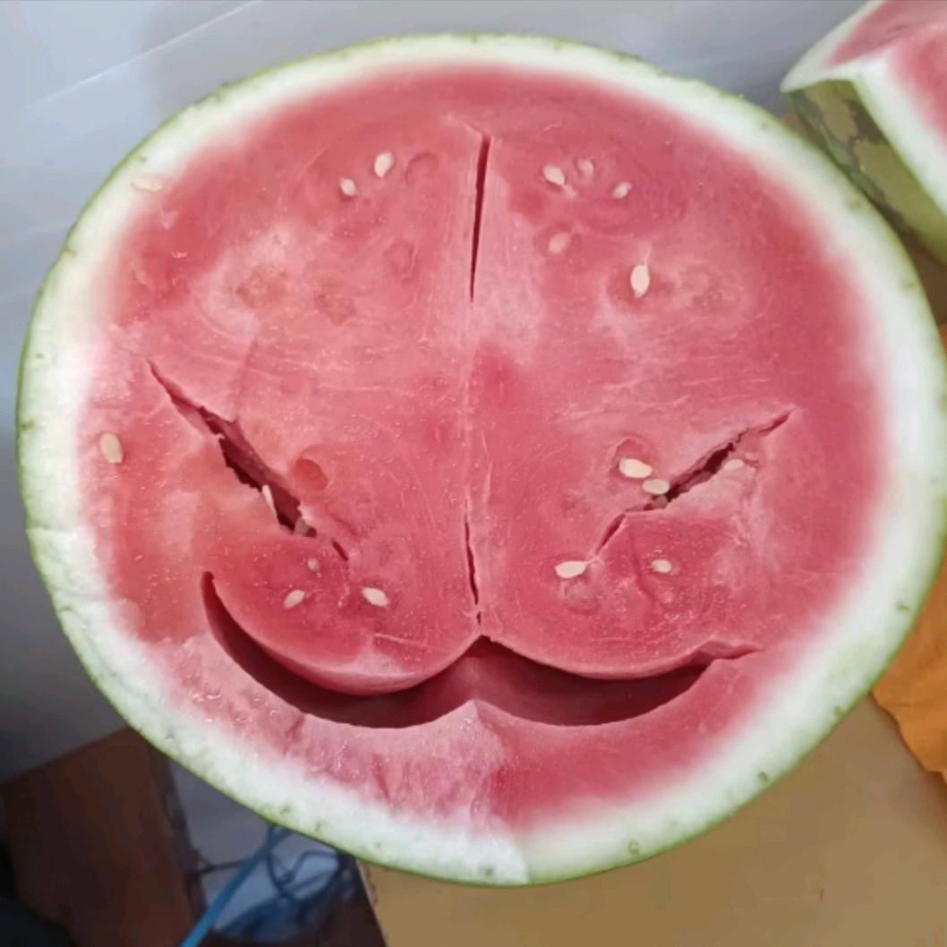 ️黑色的幽默