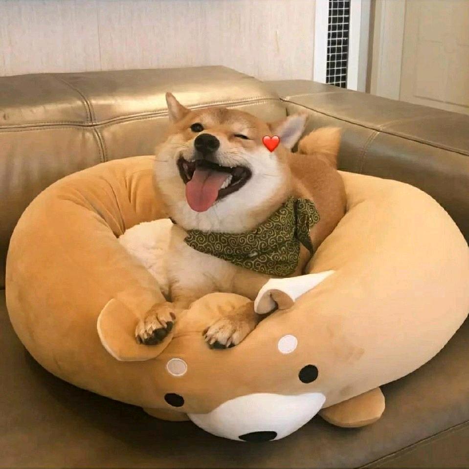 你今天真好看҉