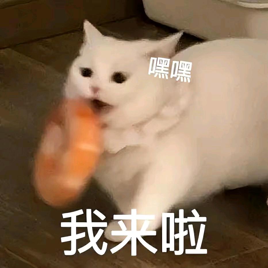 喜欢云裳诉的微风头像