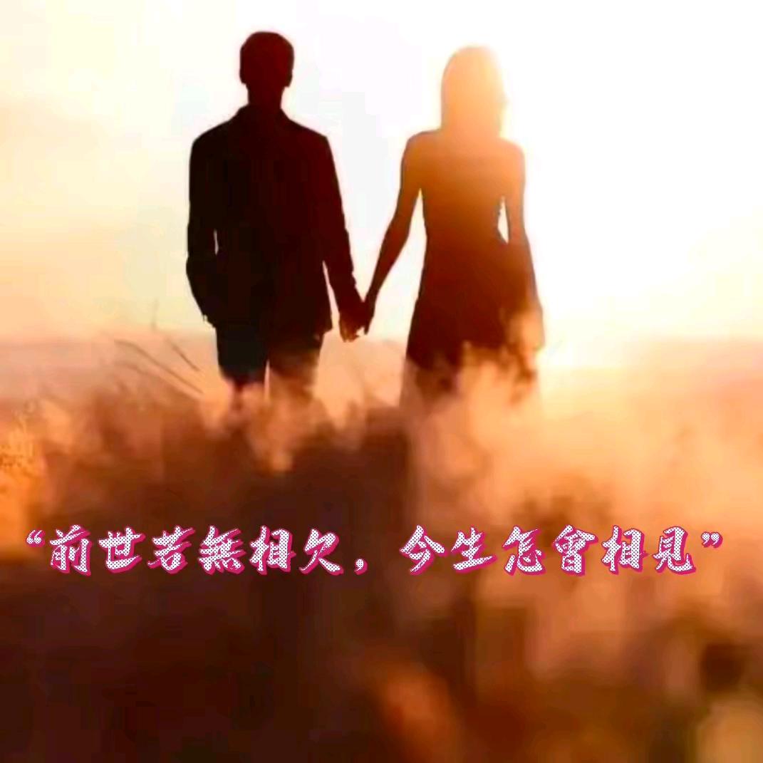 静情感语录