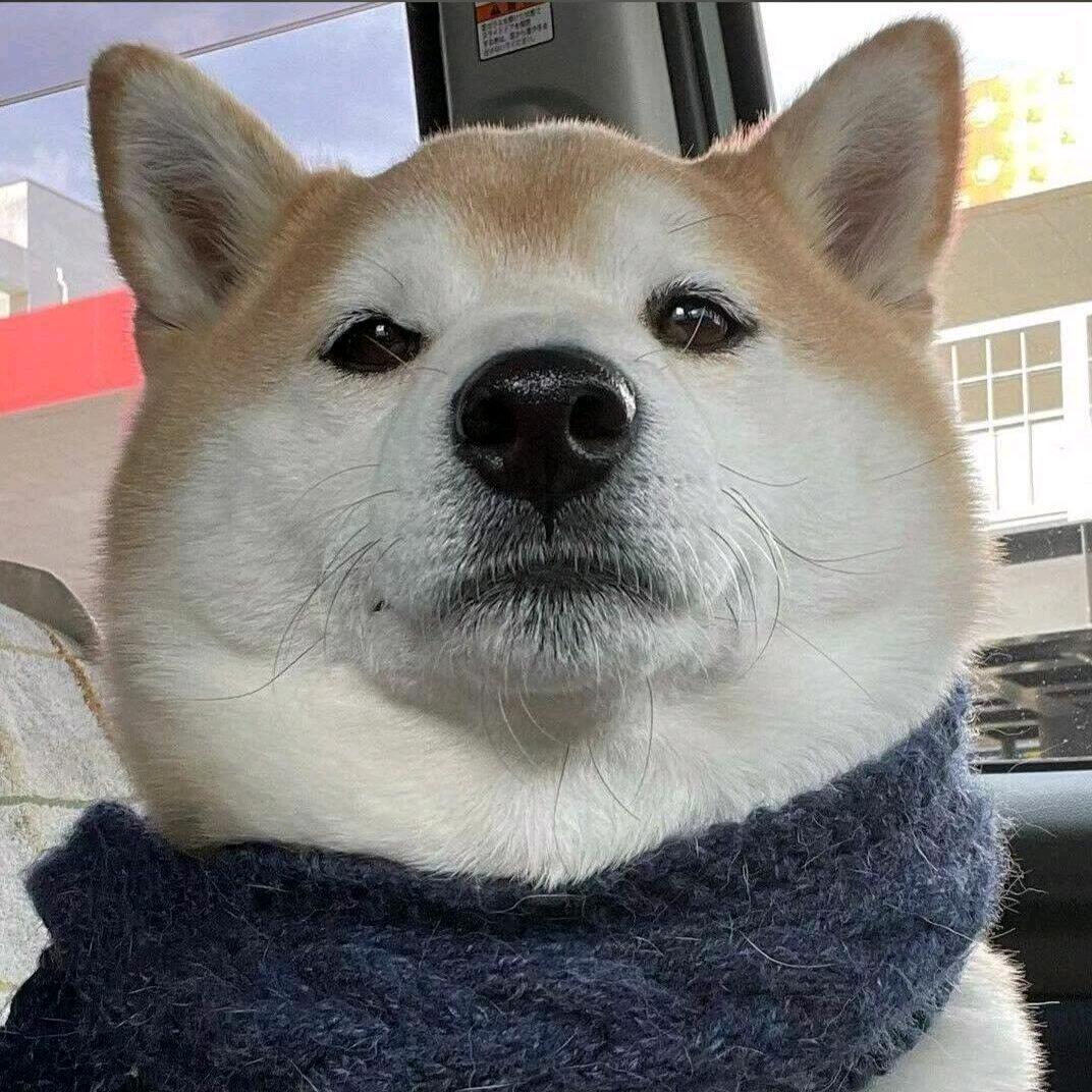 Cx330，