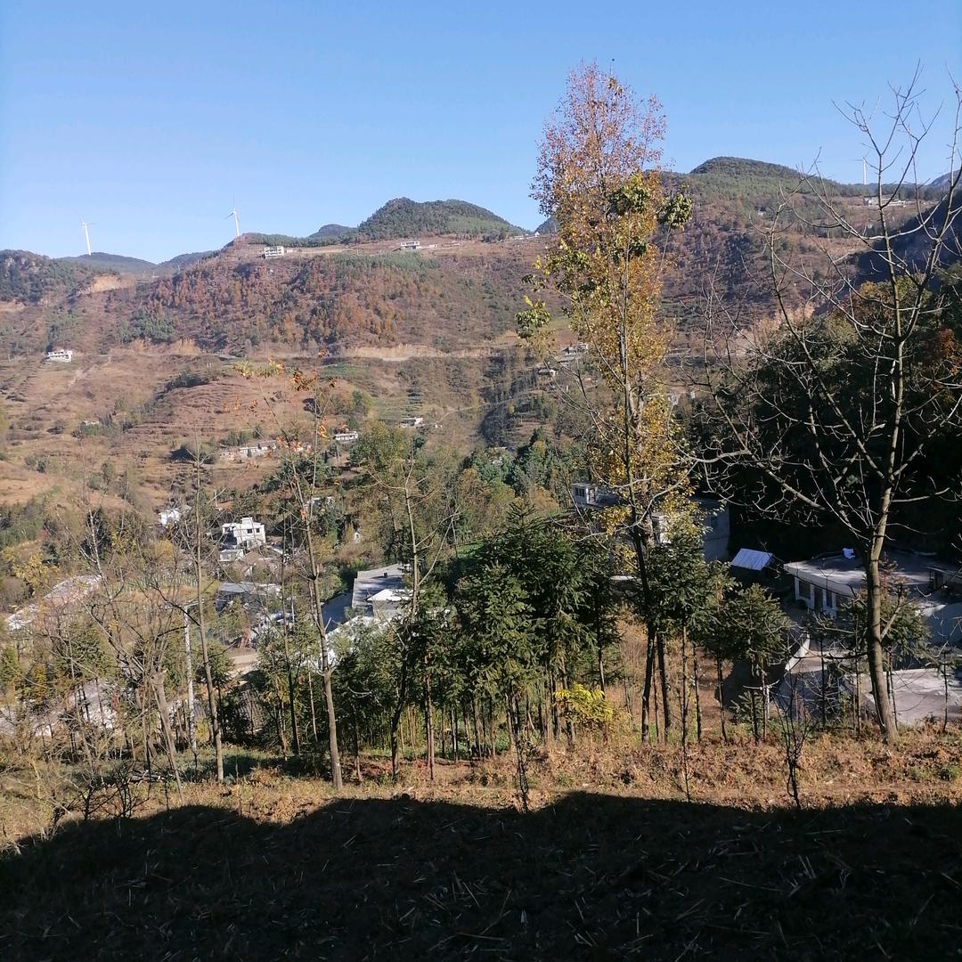 美丽家乡