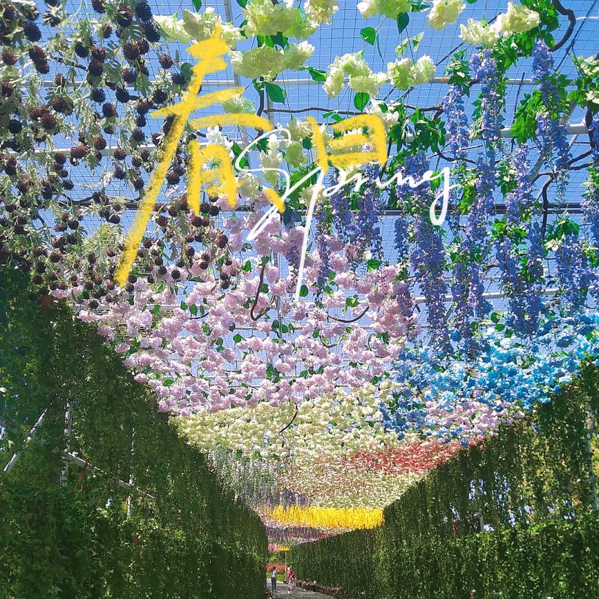 南溪