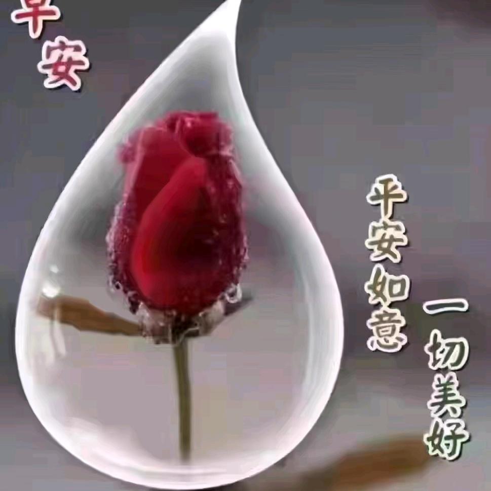 苦去甜来