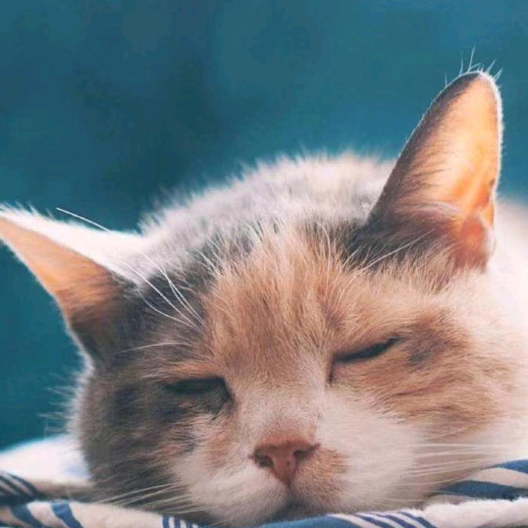 万里汽车电器电子