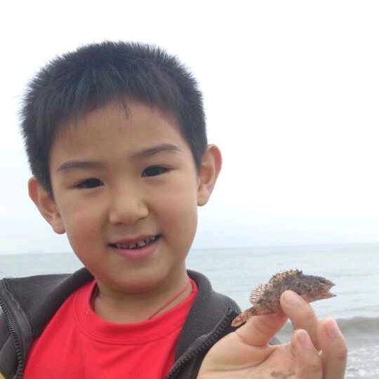想你