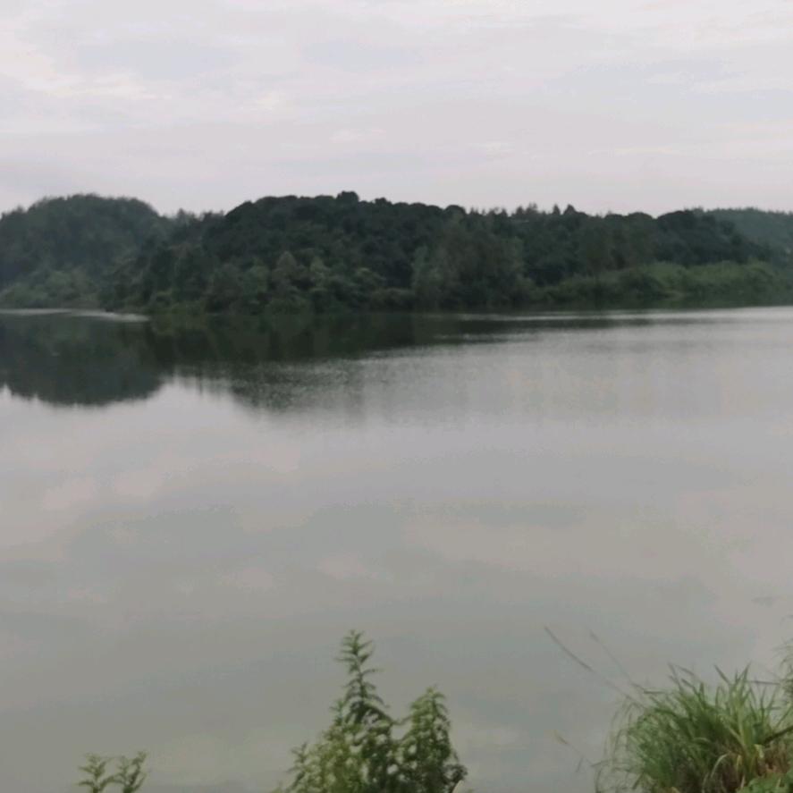 蒙面侠游钓江湖