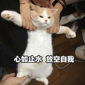 再来一碗啊